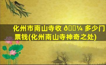 化州市南山寺收 🌼 多少门票钱(化州南山寺神奇之处)